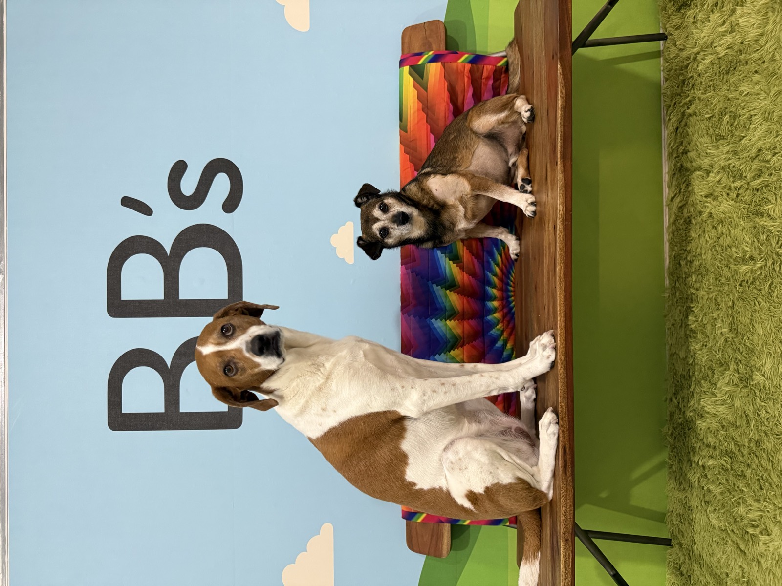 Beycon and Brandon on the BB's bench