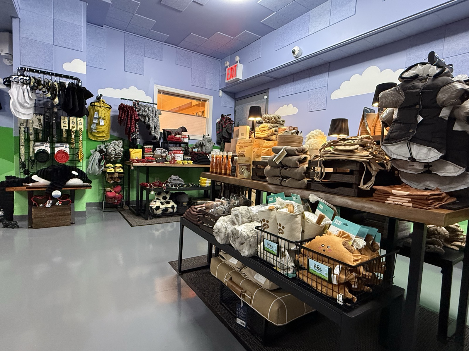 Apparel, harnesses, and home goods at BB's Boutique
