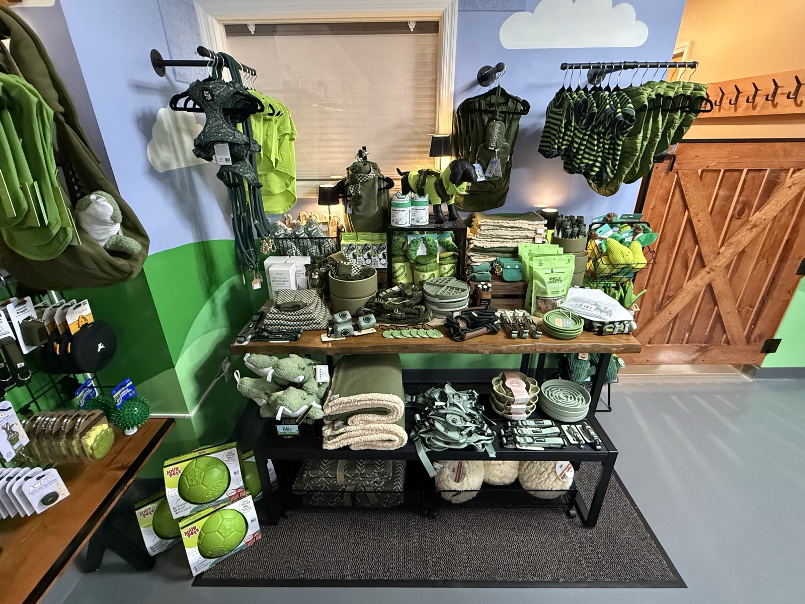 Harnesses, leashes, and accessories