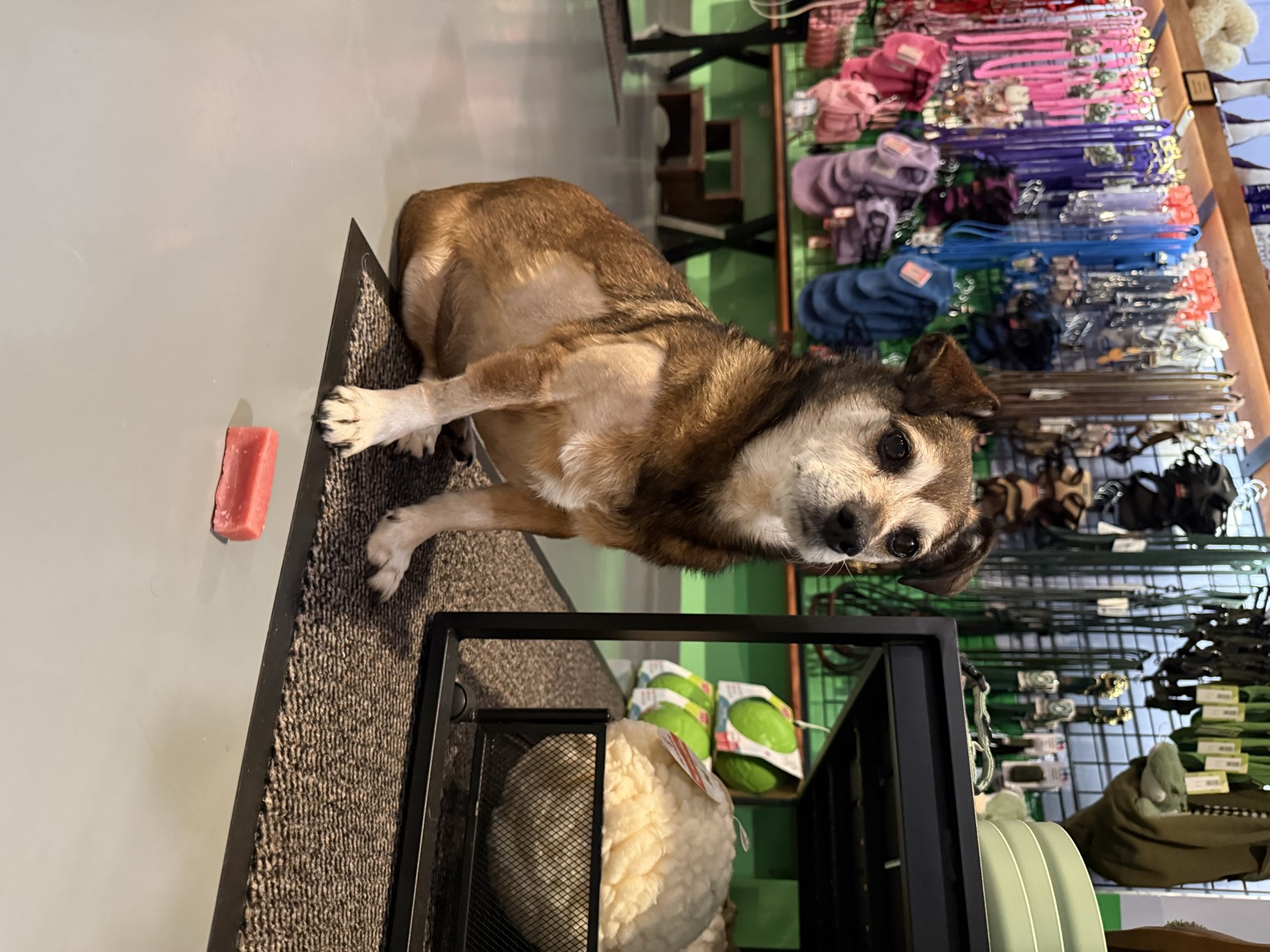 A happy shopper at BB's Boutique